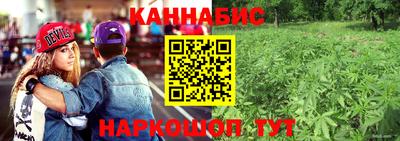 ГАЛЛЮЦИНОГЕННЫЕ ГРИБЫ Ачхой-Мартан